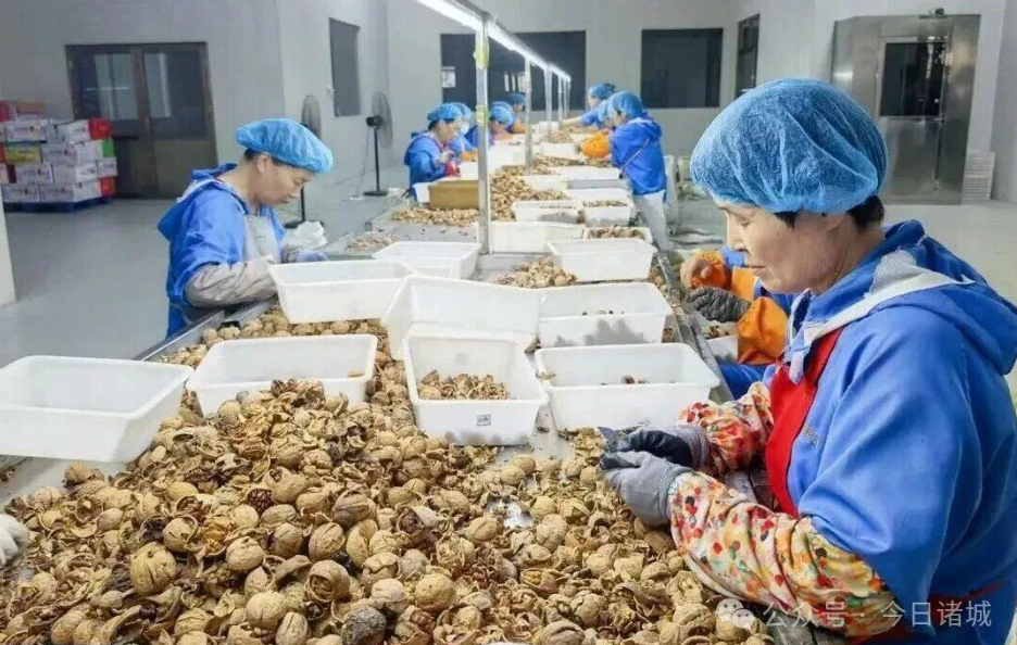 果子不再愁销路！诸城片