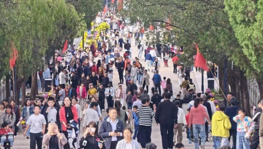 3万盆秋菊绽放常山！重阳