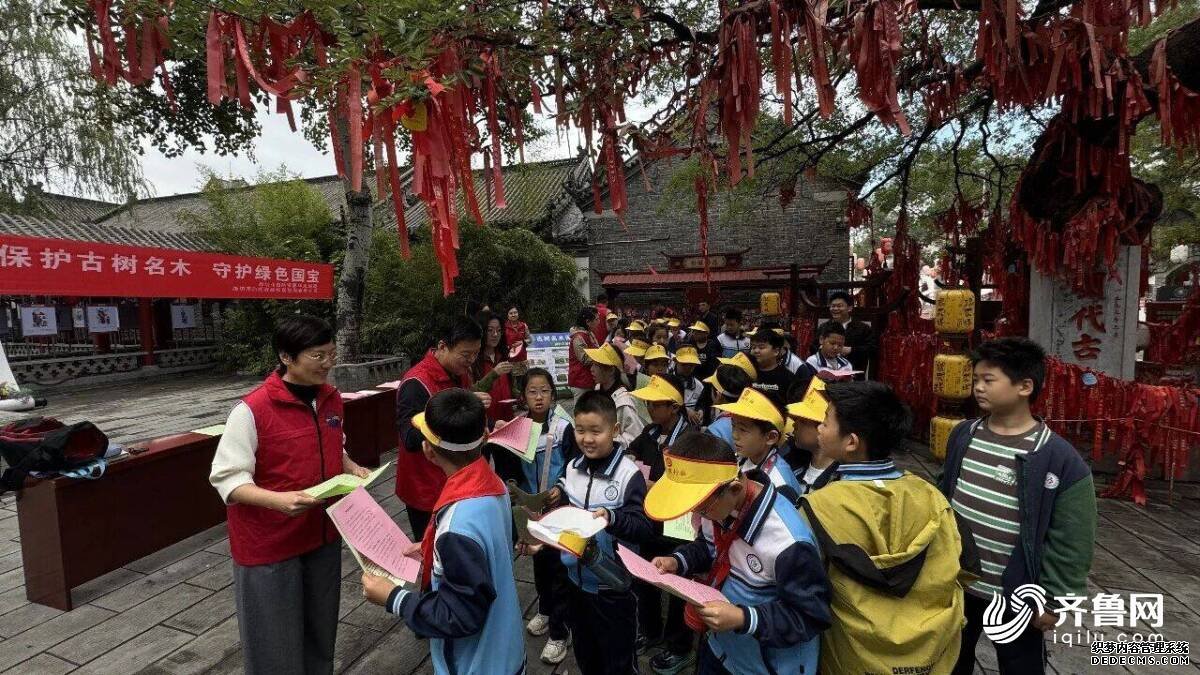 潍坊古树名木保护宣传周：3389株绿色国宝有了明细账