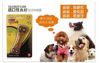中国宠物用品生产基地分