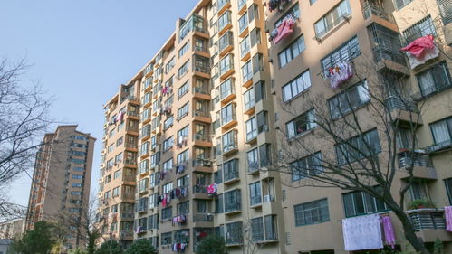 诸城买福田相关产品去哪更便宜 房产购车及热门小区行情汇总