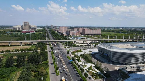 最新潍坊宠物市场在哪里 奎文买狗地点与宠物行业信息汇总