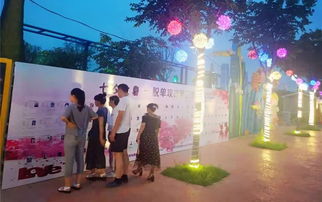 诸城男生交友用什么软件 碰爱适配多元交友需求附诸城本土资讯