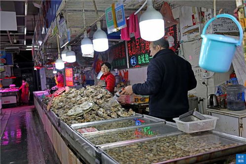 买海螺诸城