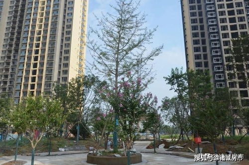 诸城有哪些热门景点、靠