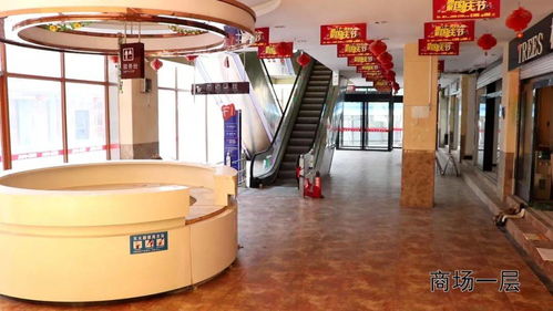德州有没有仓鼠回收的地方 烟台哪些宠物店可领养猫