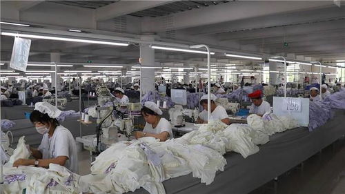 诸城有哪些实用生活信息