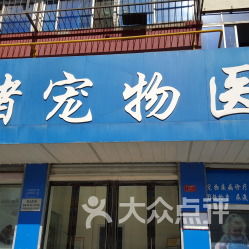 山东潍坊诸城有没有可靠的宠物医院及鹦鹉购买渠道 答案在此
