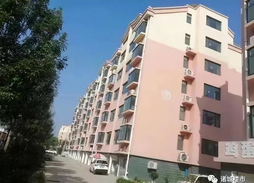 诸城有哪些靠谱的兼职与