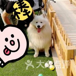 诸城农村低保标准、恐龙博物馆门票及宠之优品联系方式怎么获