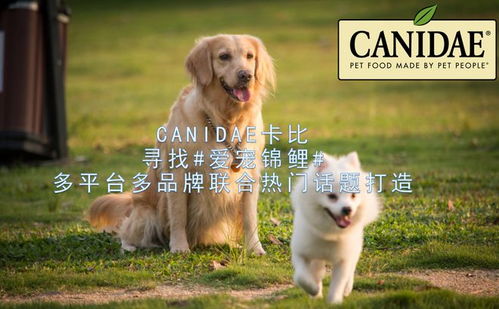 诸城哪里有靠谱的宠物医