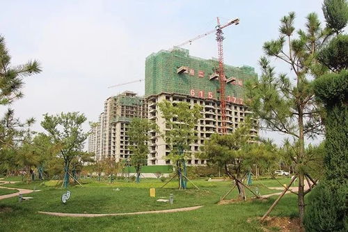 哪些带府的小区二手房及房价情况如何