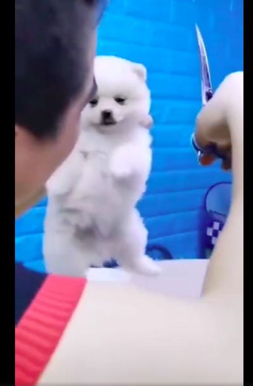 诸城哪家理发店理发好 这