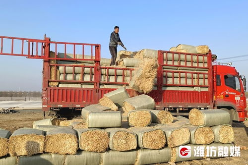 诸城哪里有招日结装卸工的靠谱岗位？这些区域和薪资信息值得