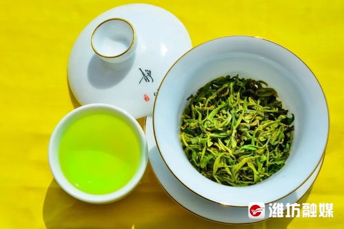 诸城绿茶有哪些类型？山
