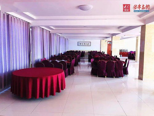 诸城的就业养老餐饮及创业有哪些实用信息