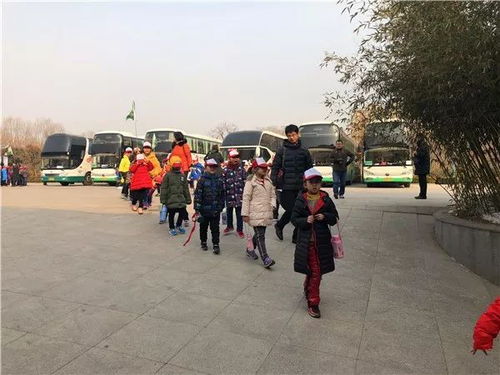 在濮阳征婚选哪个公园成功率高？其他公园有哪些交友场景？