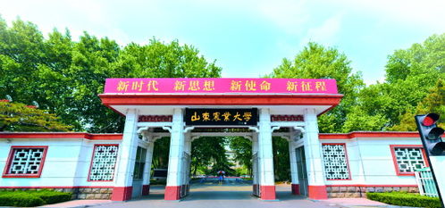 诸城市的行政代码和邮编该怎么查询与使用