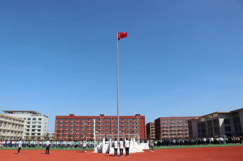 诸城有哪些招聘资源及岗位信息值得关注？