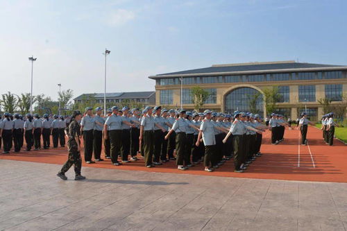 老师说孩子心智低是什么