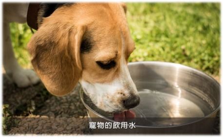 诸城洗浴哪家好马蹄口机报价是多少