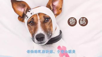 诸城市代理生育津贴能领多少钱 一文解答