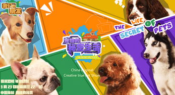 诸城动物园门票哪里买便