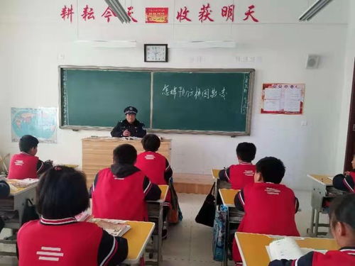 山东诸城有哪些学校 各学段公办校及教培机构信息汇总