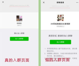 清明节诸城线下交友软件苏轼资料你了解吗 三类热门内容一文梳