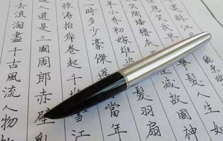 诸城书法培训学校哪家好 靠谱机构介绍及练字钢笔选购指南