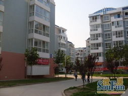 山东潍坊诸城正道园小区属于哪个社区 归属龙都街道岔道口社区
