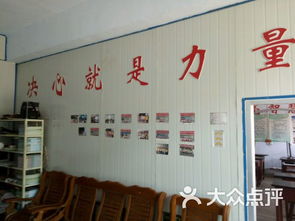 诸城免费培训