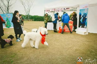 山东宠之优品宠物食品有限公司怎么样 产能稳定为多个国内知名