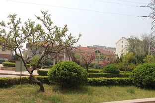 诸城龙都新苑距诸城第一小学多少米 不同出入口路程在五百至一